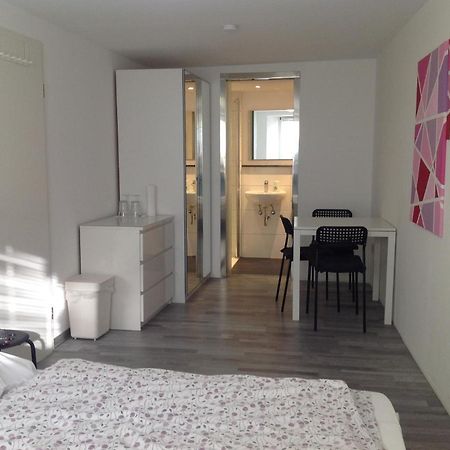 Stadtmitte Ferienwohnung Waldshut Екстериор снимка